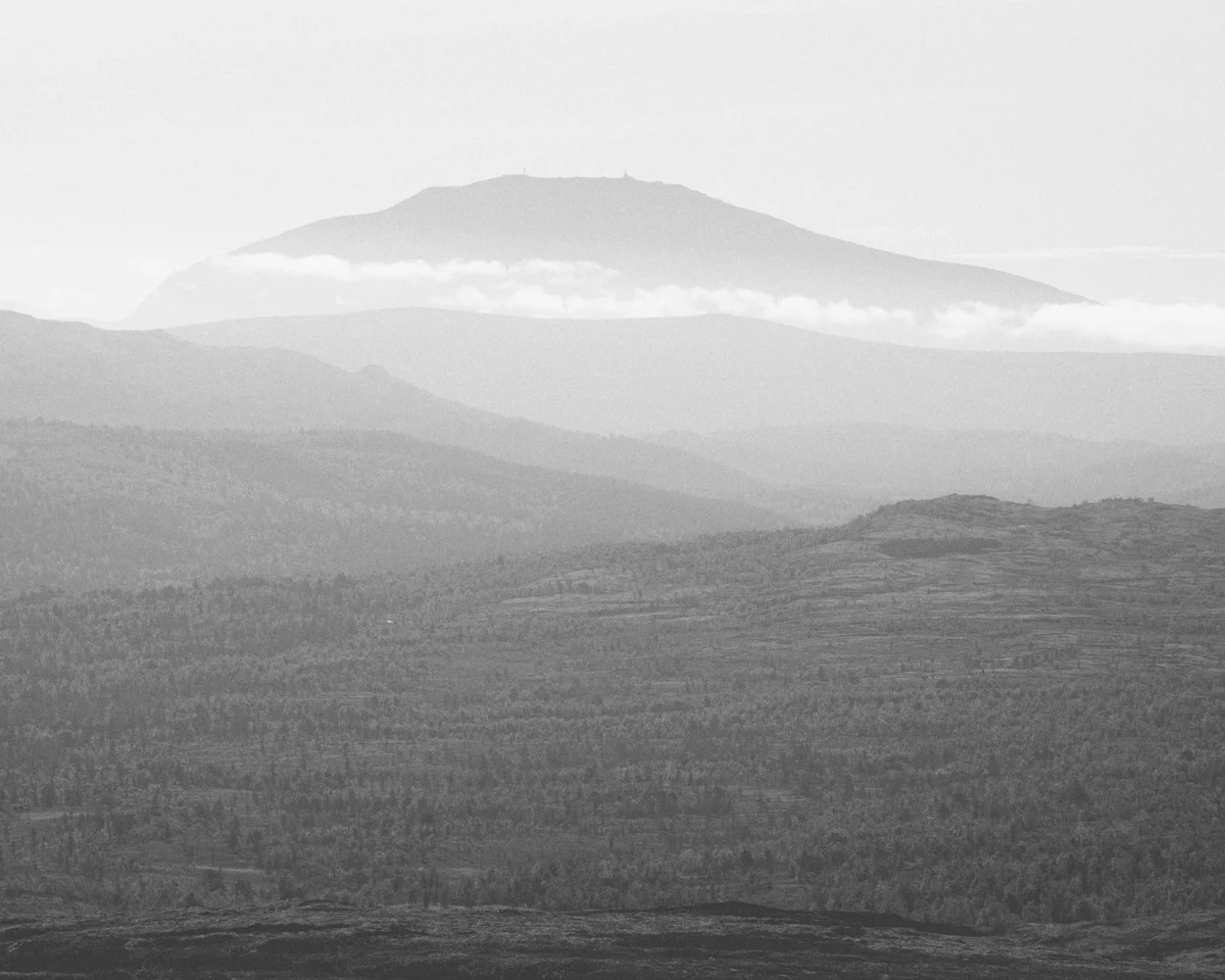 _85A4774-Edit.jpg