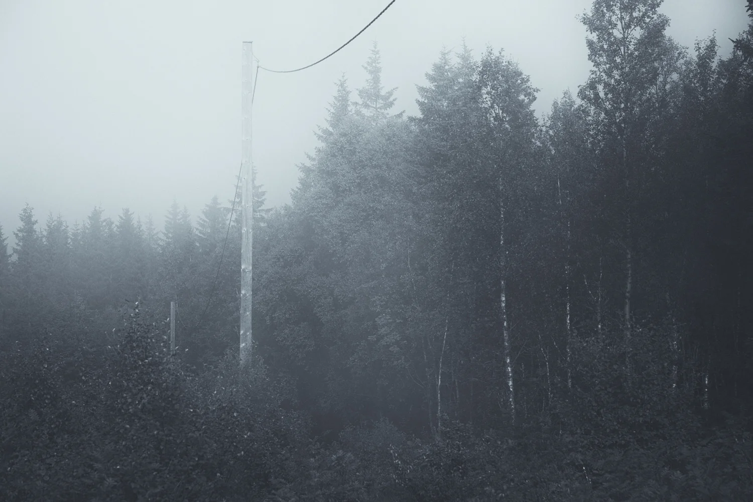 _85A0715-Edit.jpg