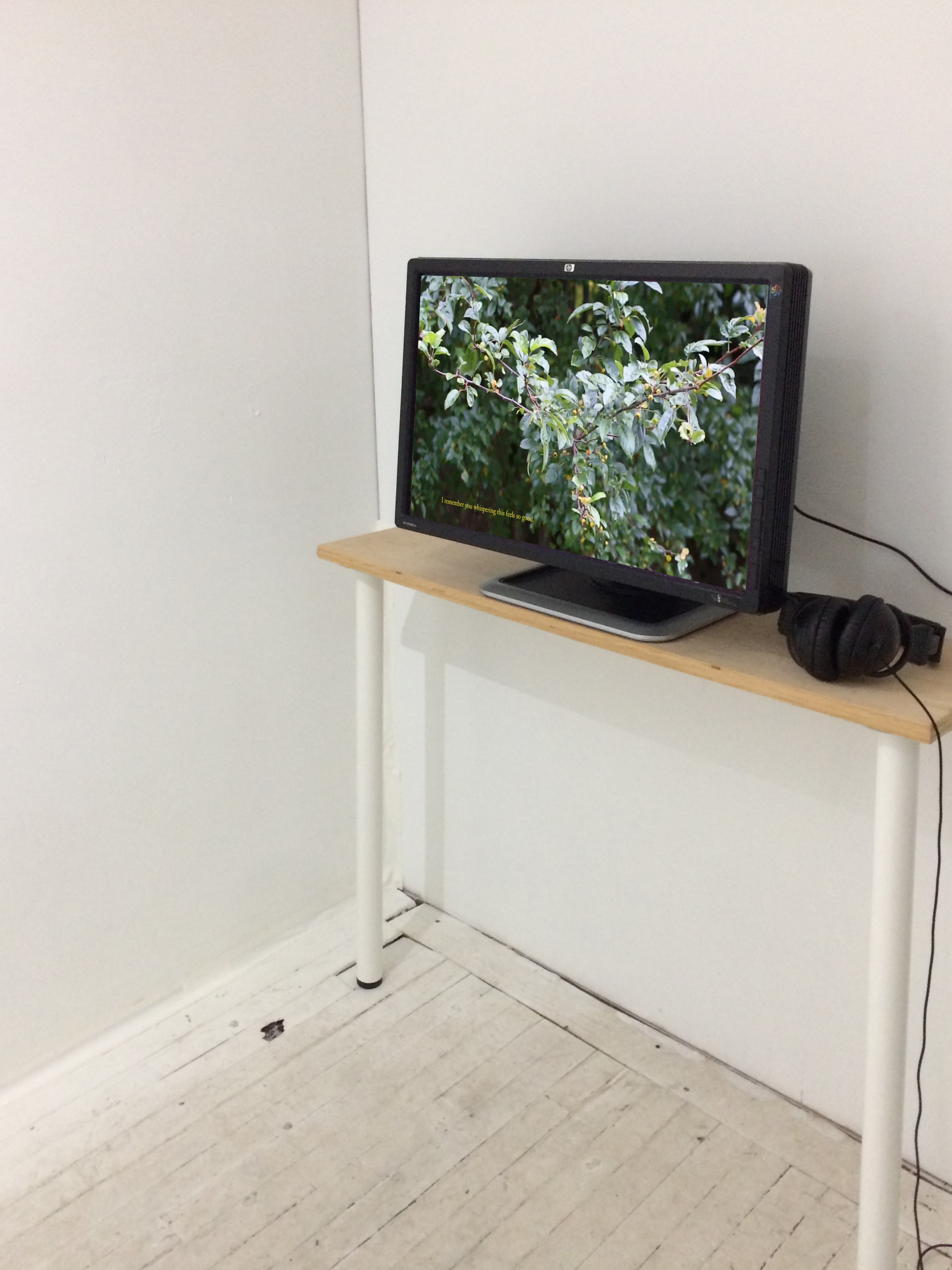 Installation view of Rindon Johnson's re: hello from the other side (2017). Image courtesy of Open Projects. 