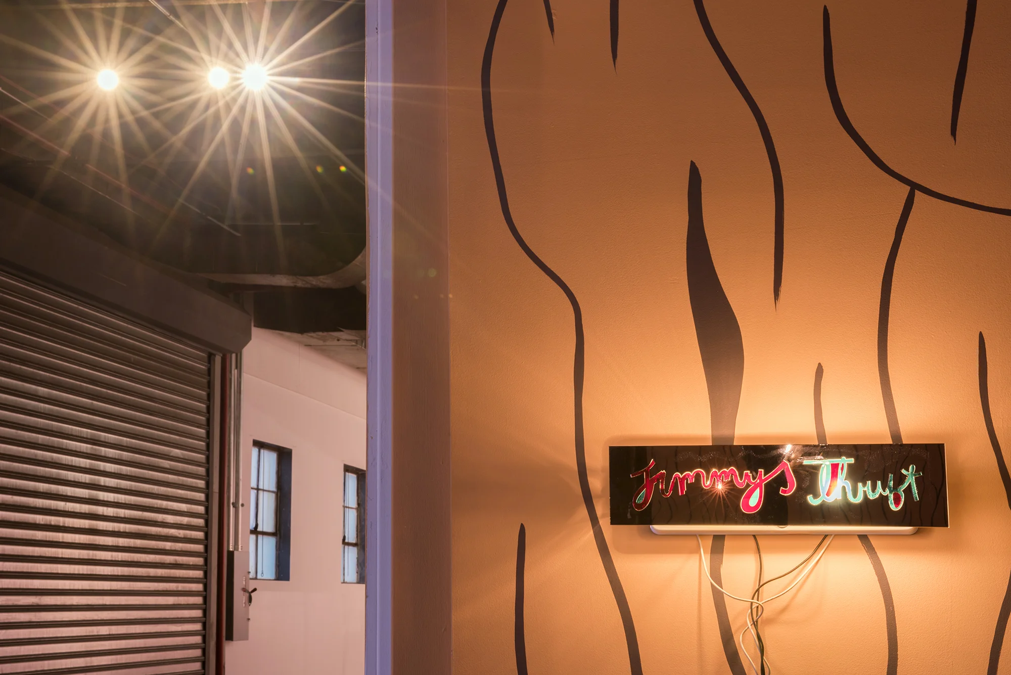 "Jimmy's Thrift of New Davonhaime," installation view. Photo courtesy of the artist. 