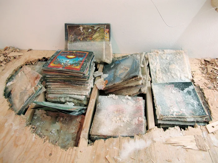Installation view from We May See a Great and Unrecognizable Future (2011), Glendening's MFA thesis project at Pacific Northwest College of Art, Portland, OR 