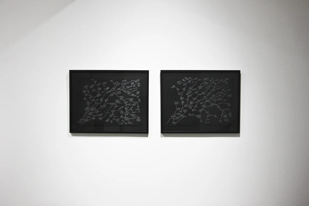 Beth Campbell's diptych future past (mirror-psychology) (2017), white ink on Stonehenge paper, 30" x 22.25" each, from the exhibition "Replacing Place," curated by MK Guth, currently on view at Anytime Dept. in Cincinnati, OH