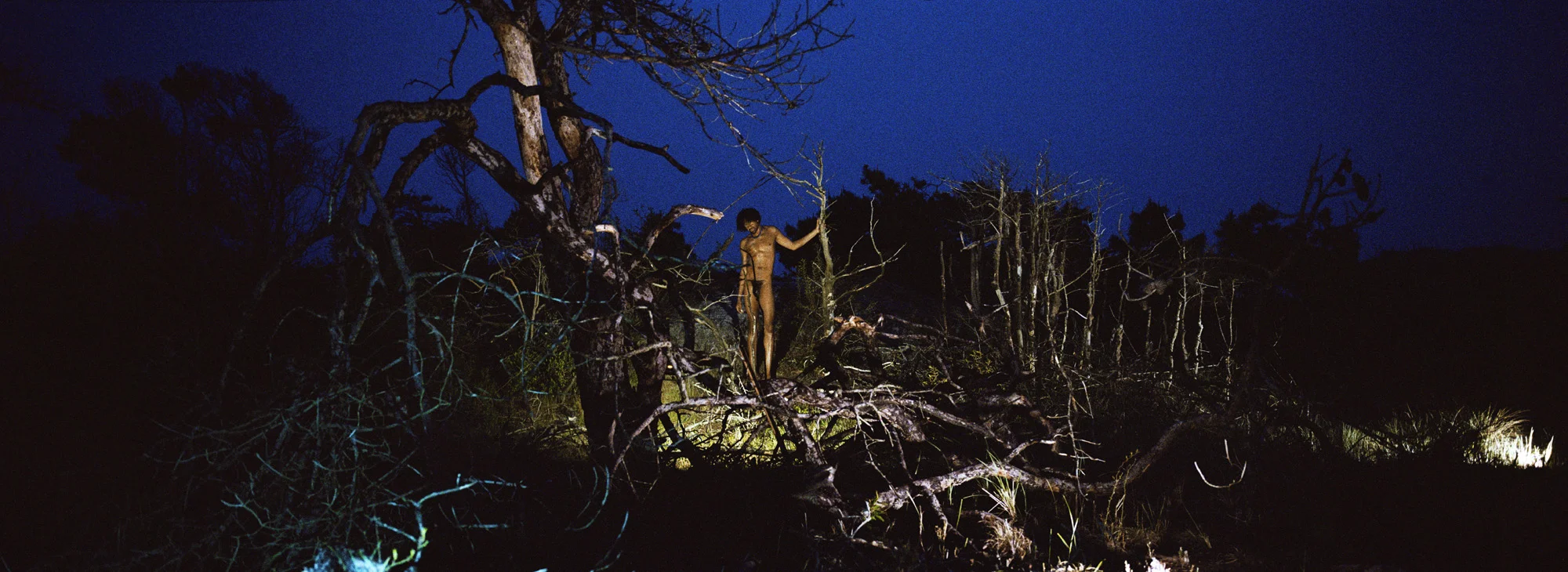 31_Fire Island Night_Leifheit_Deli.jpg