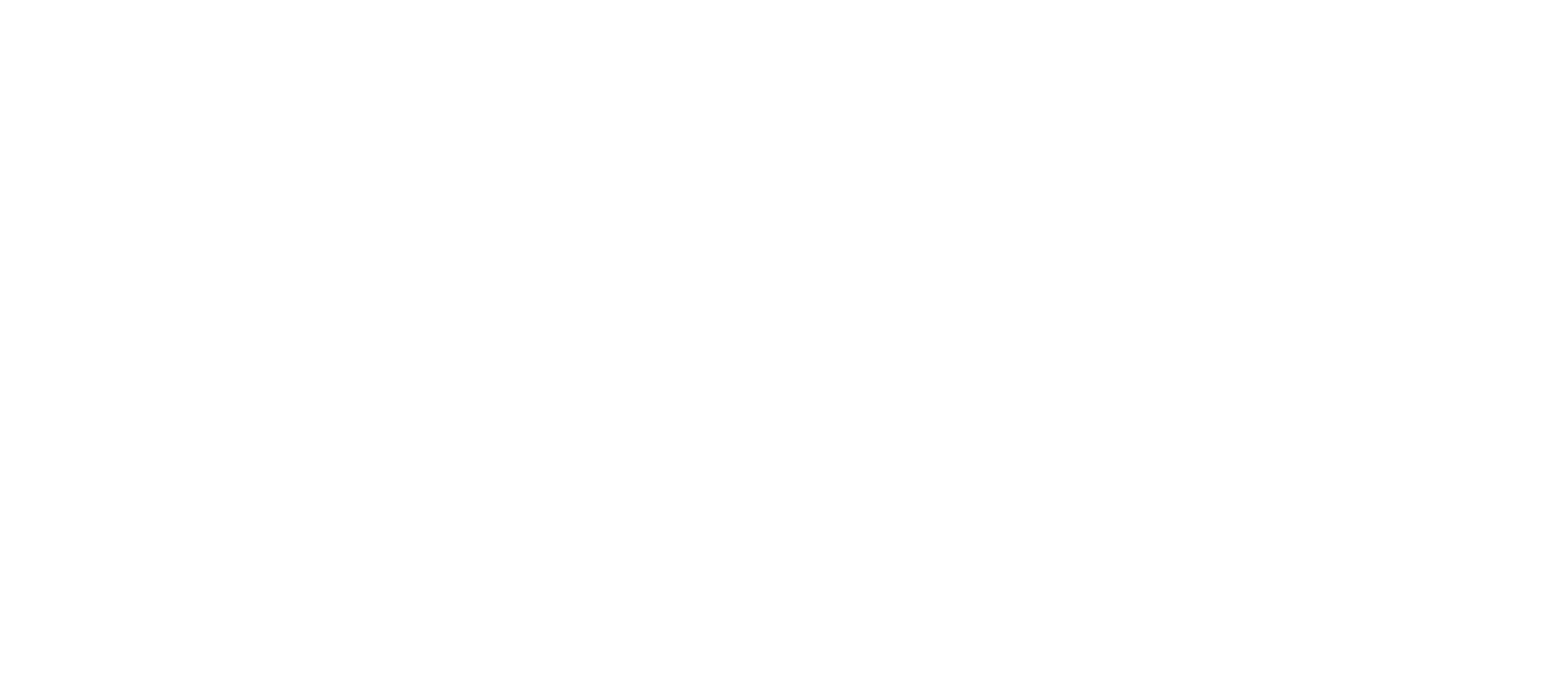 Youth & Community Dance Initiative