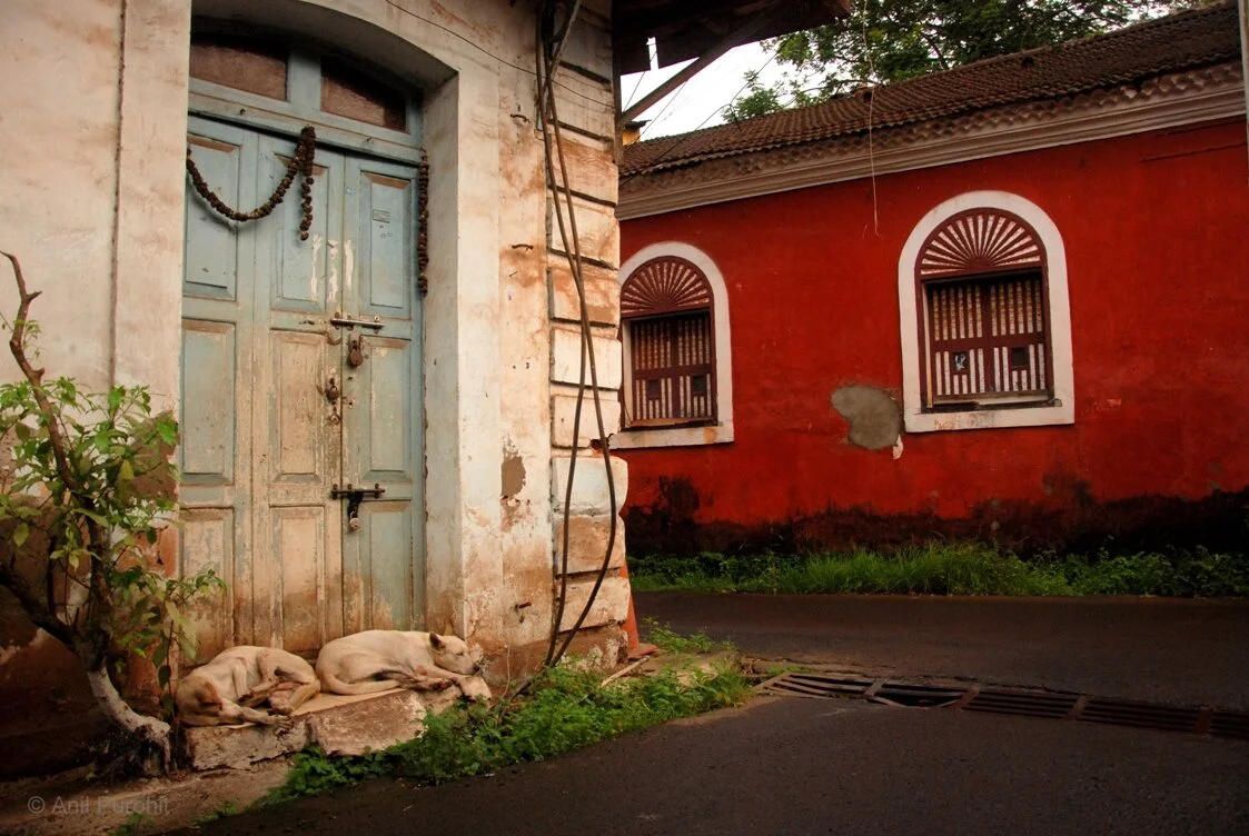 2015, Panaji
