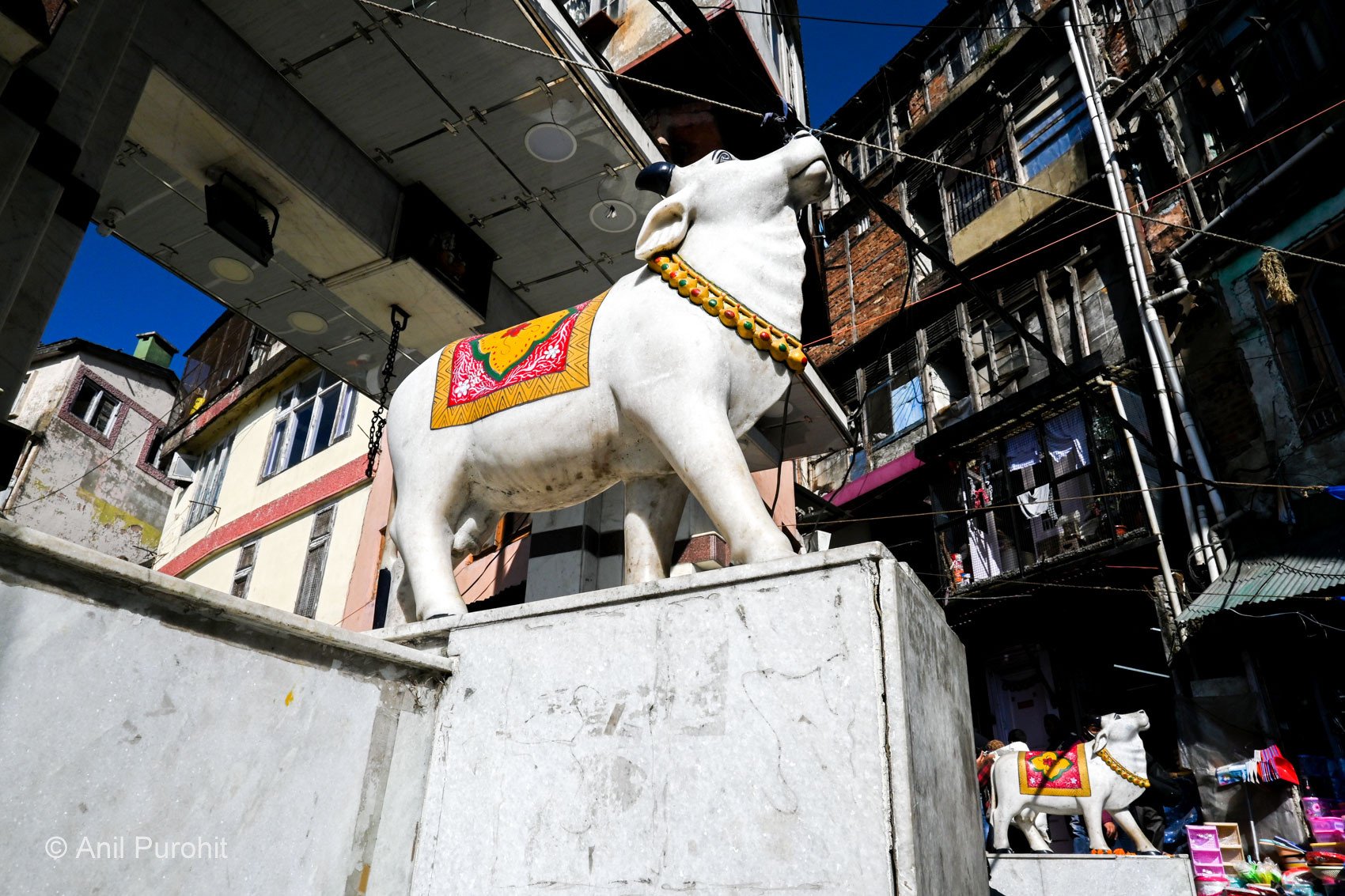   Shimla, 2021  
