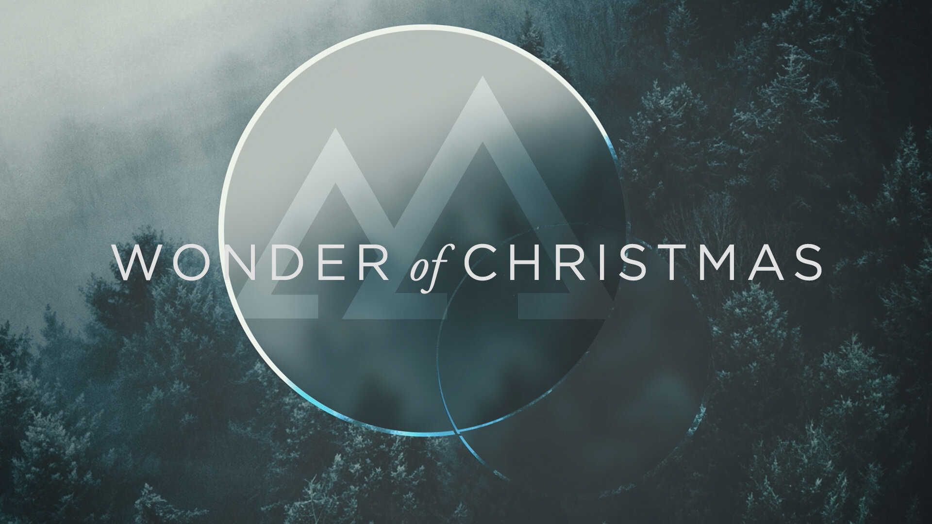 Wonder Of Christmas 01.jpg
