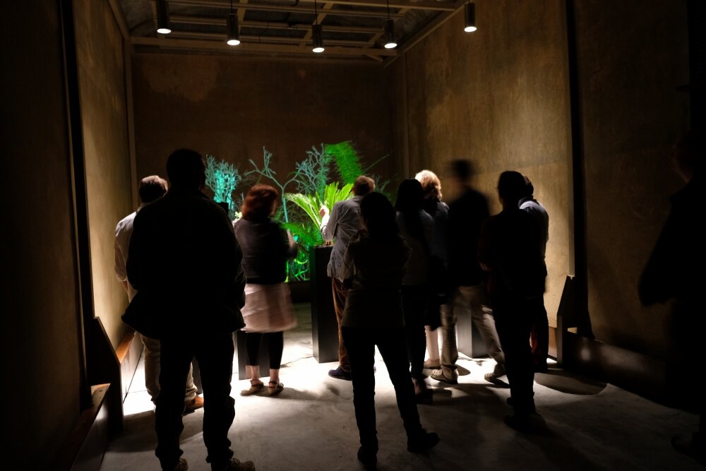 Interactive Plant Growing - Vernissage THE VIEW (2019)