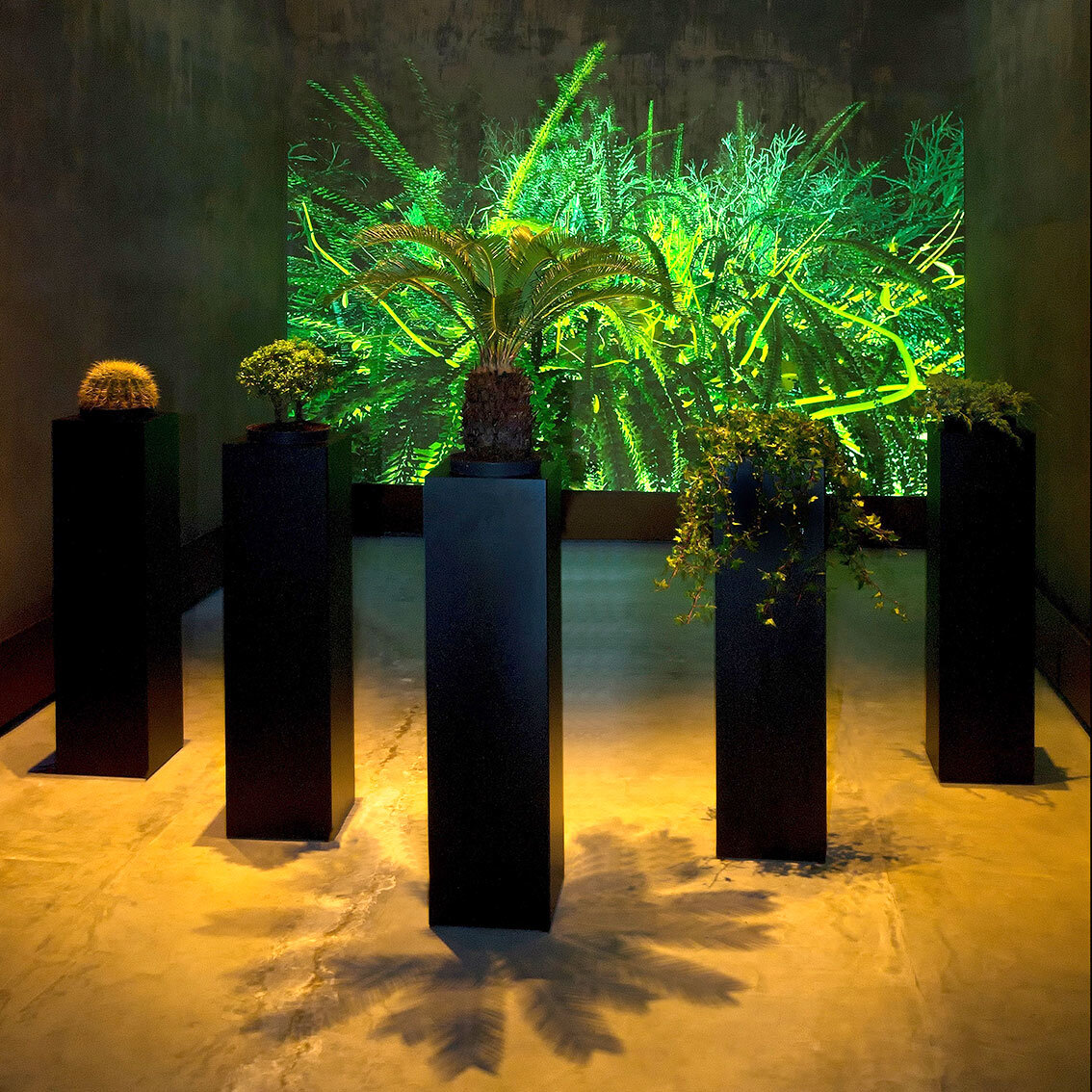 Interactive Plant Growing - Ausstellungsansicht THE VIEW (2012)
