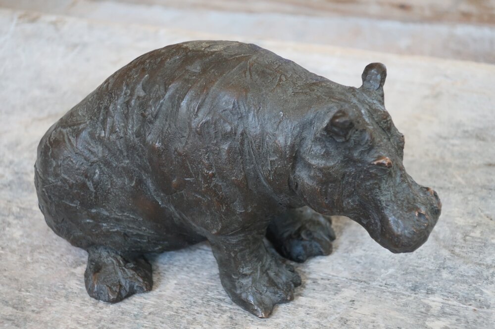 Hippo (2020)