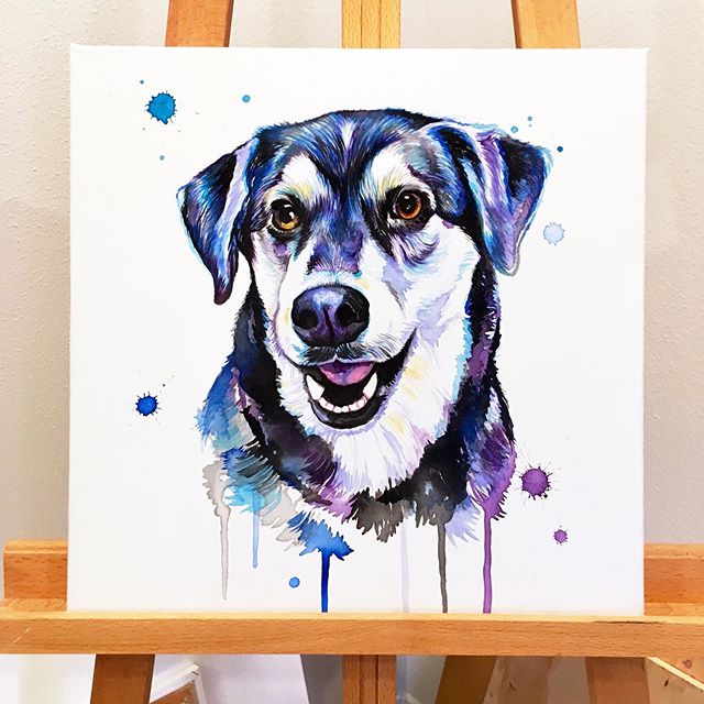 One of my favorite pups 💙 .
.
.
.
.
.
.
.
.
.
.
.
#LindsayMichelleART #dog #gift #present #surprise #husky #lab #custom #dogart #dogpainting #animalpainting #houstonartist #animalart #animalartwork #art #artist #artwork #watercolor #ink #instaart #i