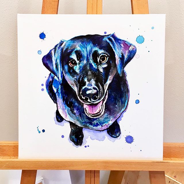 I am really digging the square sized canvases! 🔹
This sweet girl is our family dog 💙 seriously the sweetest, smartest &amp; best princess I know 🐶 .
.
.
.
.
.
.
.
.
.
.
.
#LindsayMichelleART #lab #blacklab #dog #pup #presebt #surprise #custom  #do