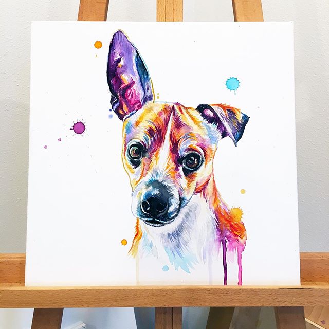 Those ears 😍
.
.
.
.
.
.
.
.
.
.
.
.
#LindsayMichelleART  #dog #pup #present #surprise #custom  #dogart #dogpainting #pupart #petportrait #animalpainting #houstonartist #animalart #animalartwork #art #artist #artwork #watercolor #ink #instaart #inst