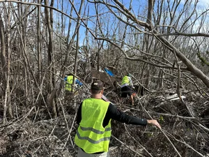 Conservation Cleanup Crew - Blue Skies Preserve