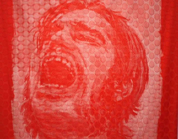 Désastres / Disasters (2013-2014)