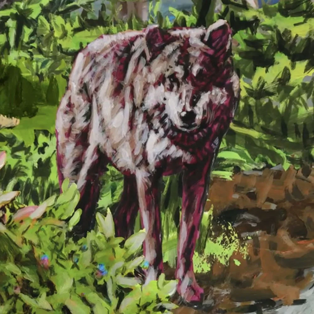 loup1.jpg