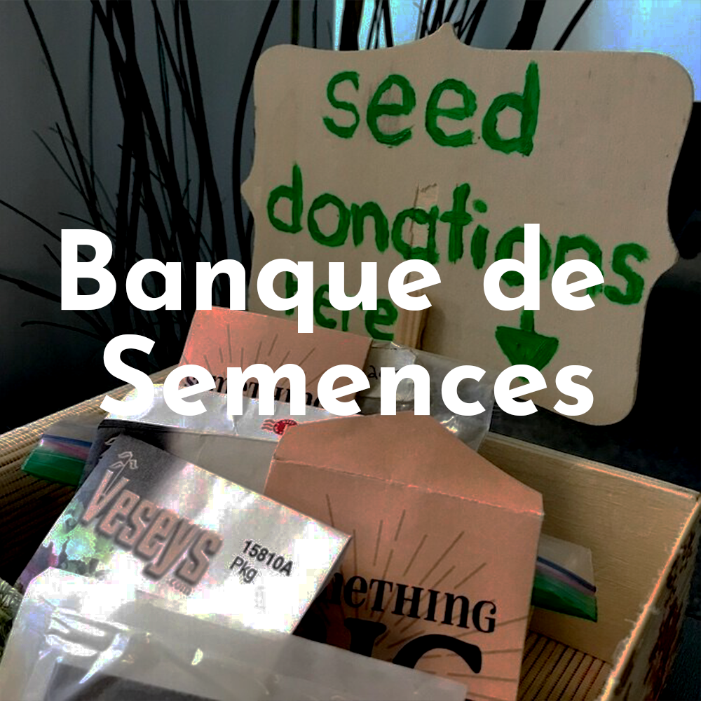 Banque-de semences.png