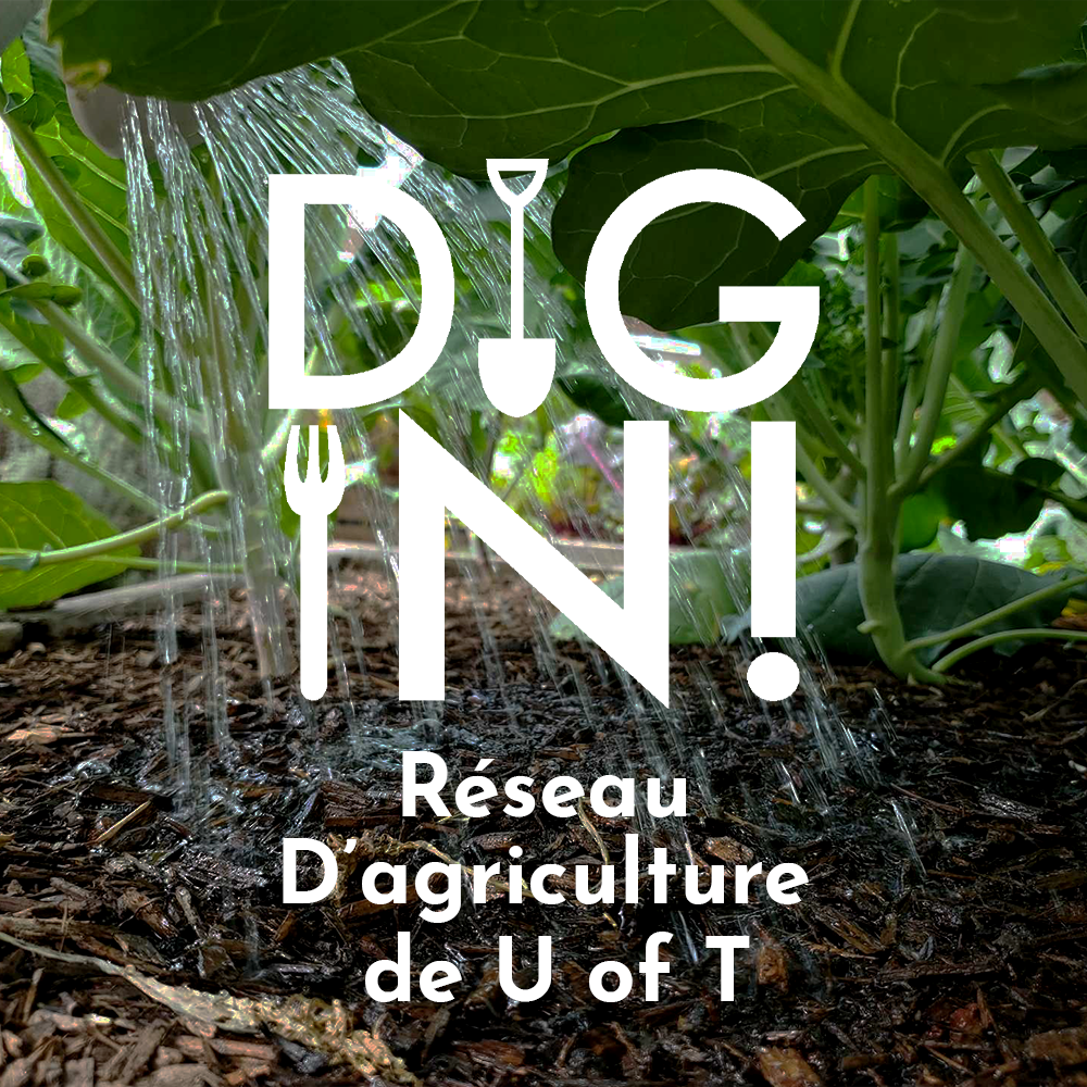 DigIn-Réseau-d’agriculture-de-UofT.png