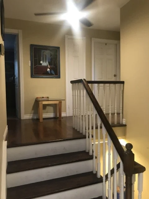 IMG_2383 Medium.jpeg