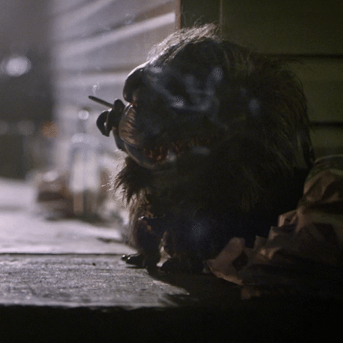critters smoking.gif