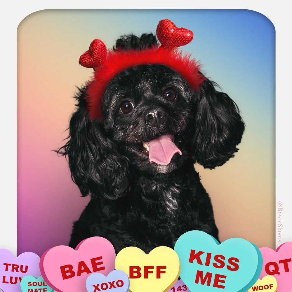 Hazel-ValentinesDay_SQ.jpg