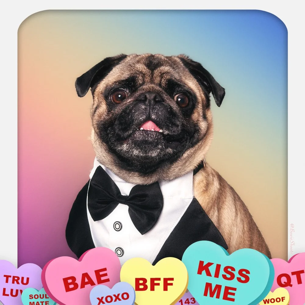 Mochi-ValentinesDay_SQ.jpg