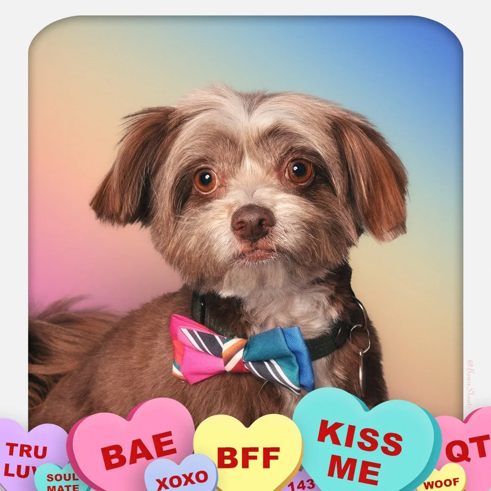 Otto-ValentinesDay_SQ.jpg