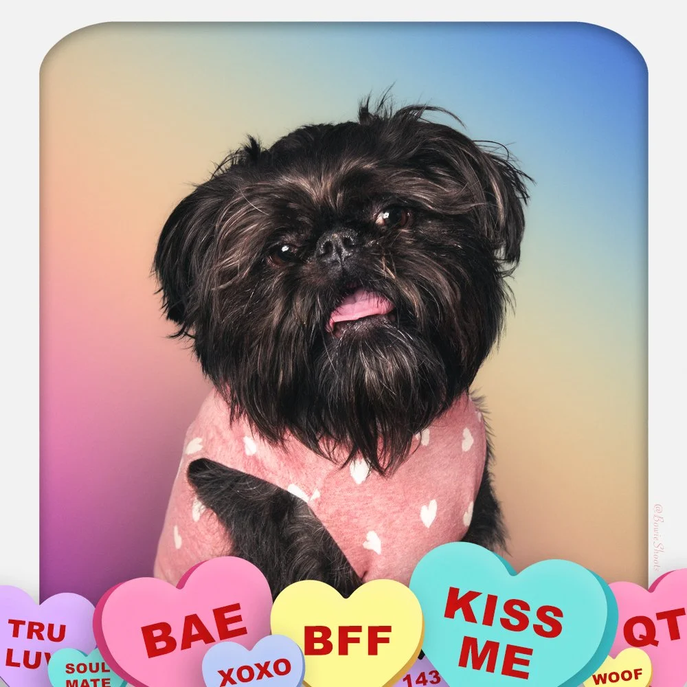 Rocki-Valentine2023_SQ.jpg