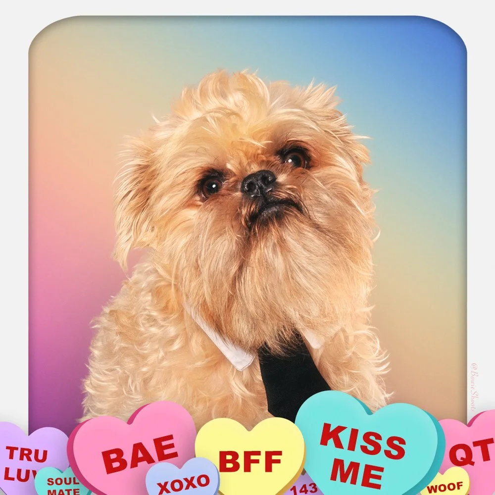 Zeus-ValentinesDay_SQ.jpg