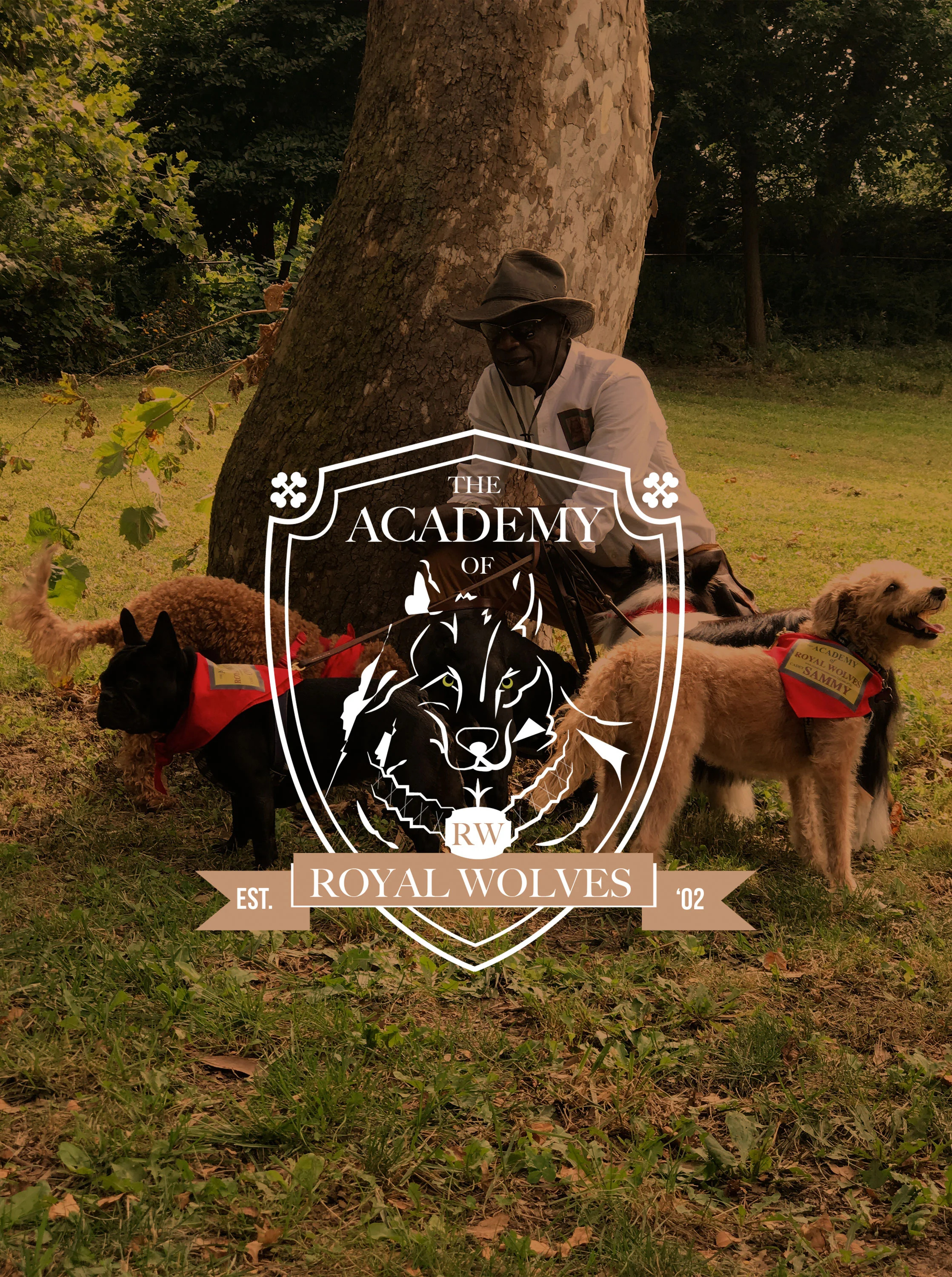 The Academy of Royal Wolves Logo, Web Design, Corporate ID, Social Media Marketing, Consulting