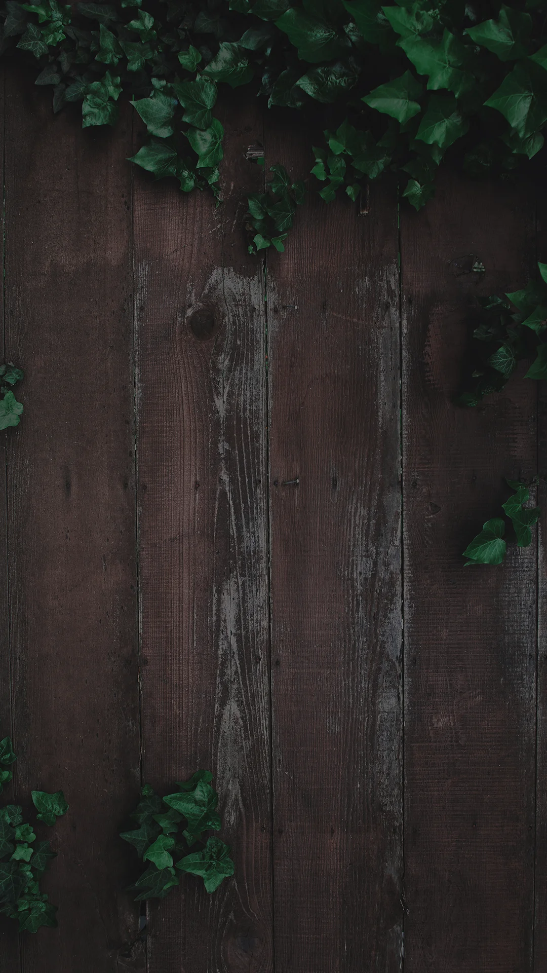 wood vertical.jpg