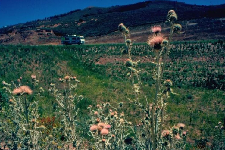 Motorhome in the desert – our home for 3 months.