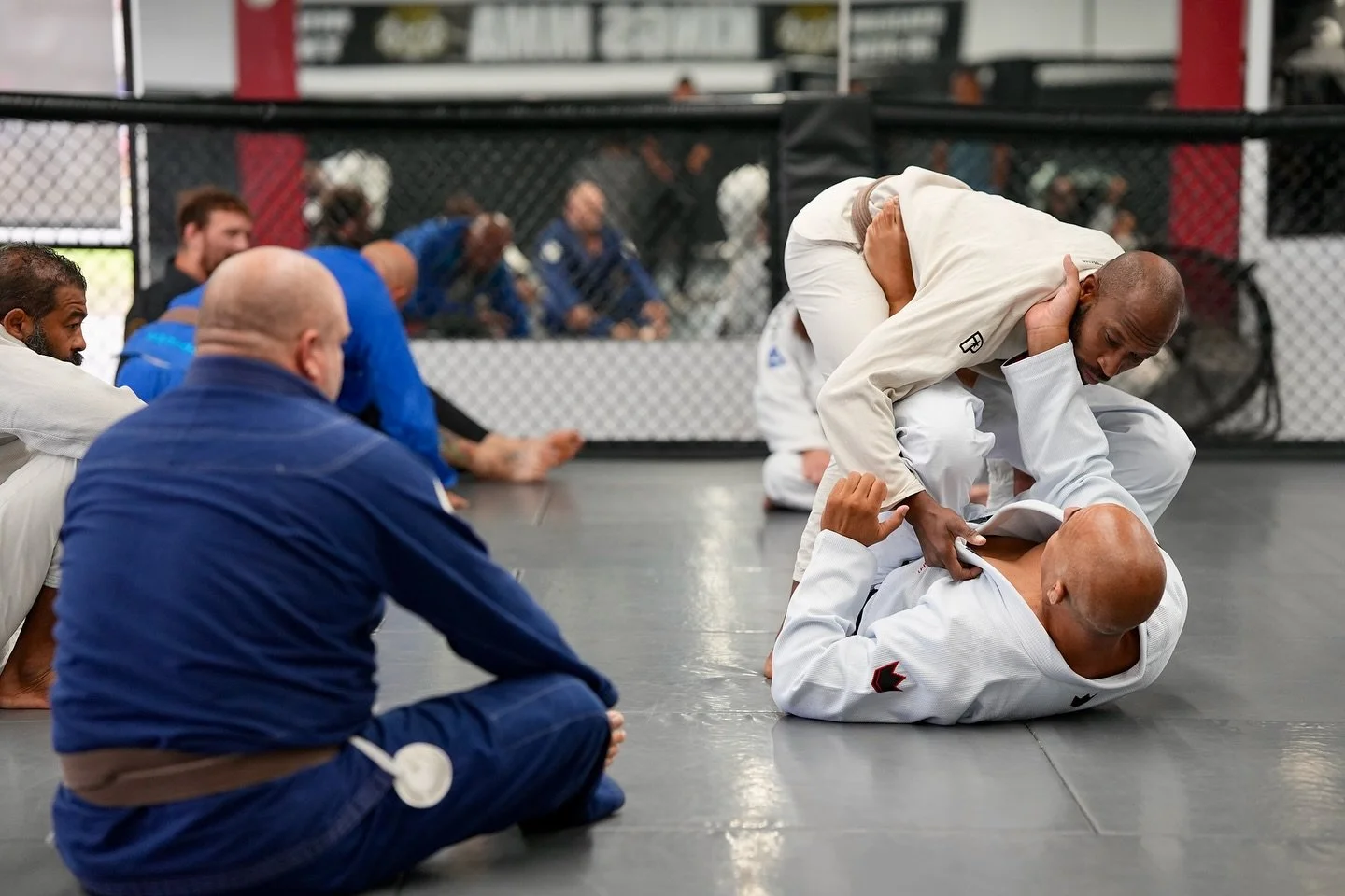 Discipline - the training and practice of self-control, order, and obedience to rules, often to achieve goals or improve one&rsquo;s character. 

Jiu Jitsu Discipline🥋