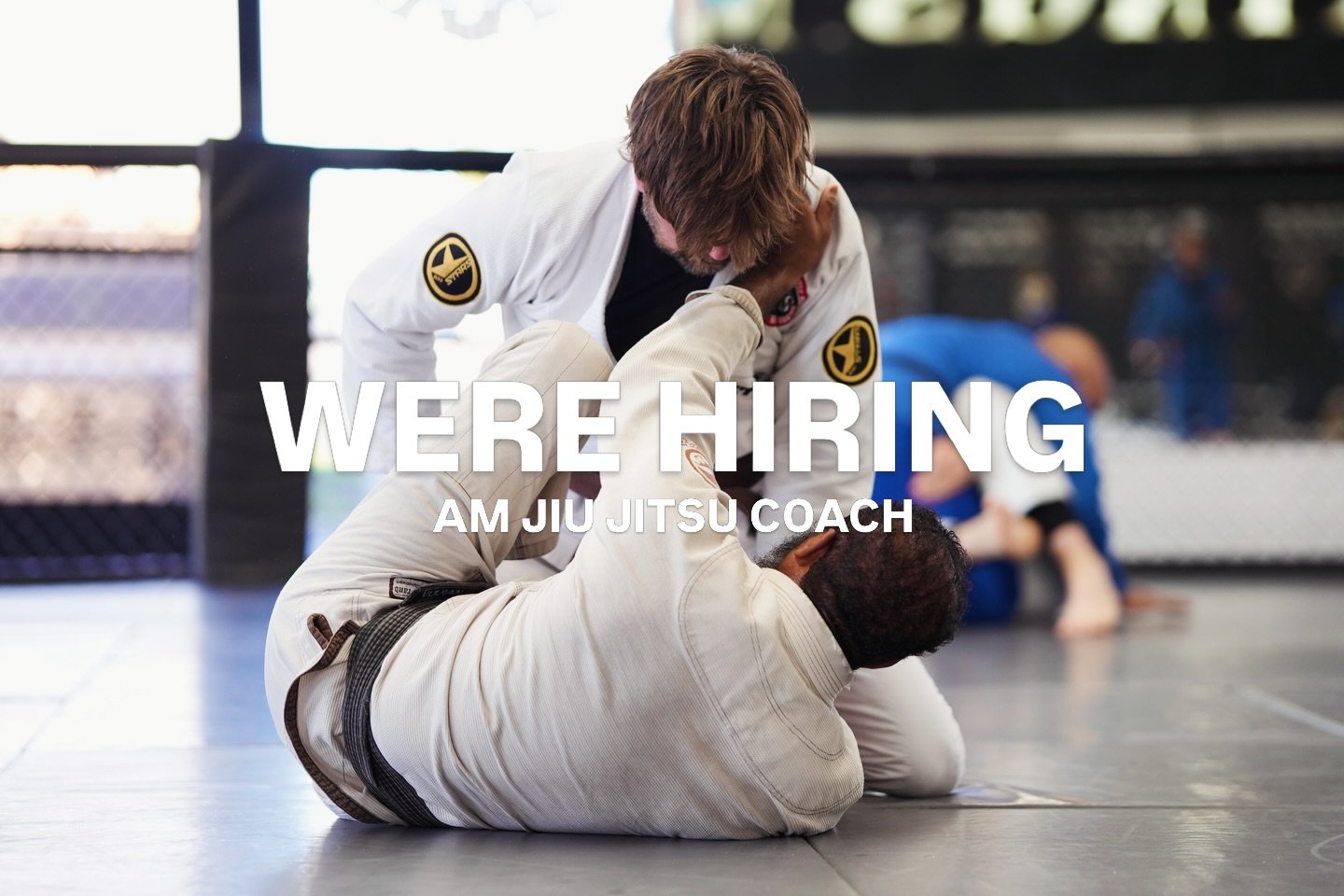 We&rsquo;re looking for a new AM Jiu Jitsu coach to join our gym.

If you have morning availability, competition experience, and want to be part of one of the best gyms in the world&mdash;this is your opportunity.

Email or DM us to apply. 

#hunting