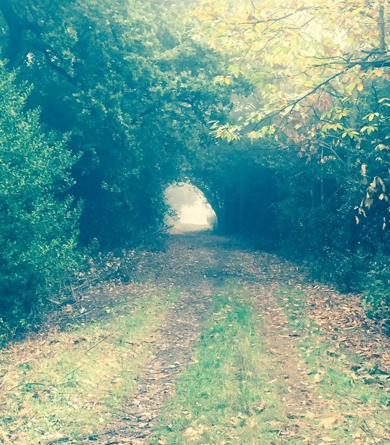 When good enough is no longer good enough