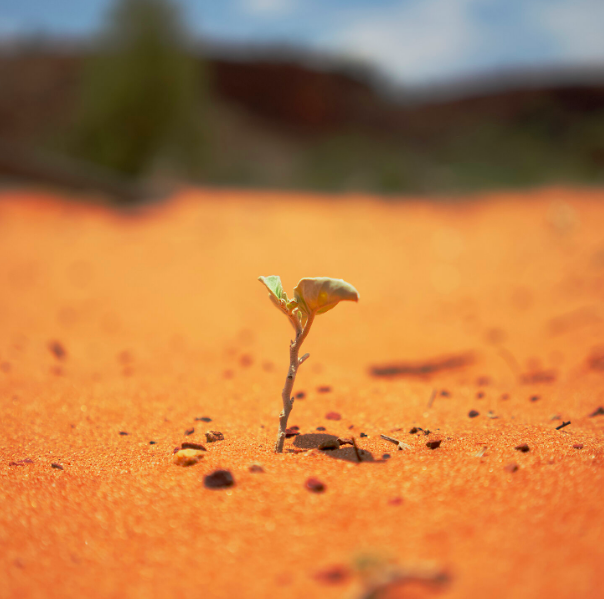 How To Build Your Personal Resilience At Work