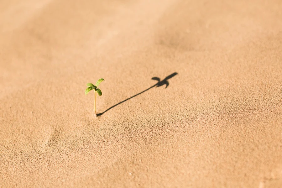 How to Know When to Grow.jpg