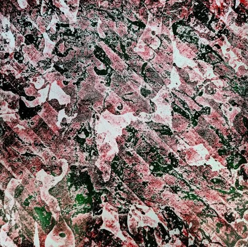 Intro to: Lino Etching 