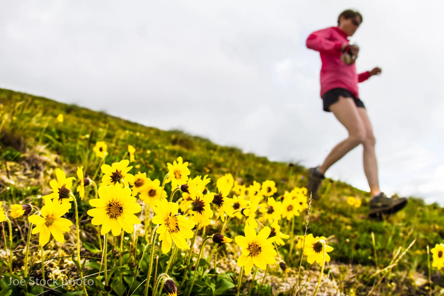 run.wchugach.stock-35.jpg
