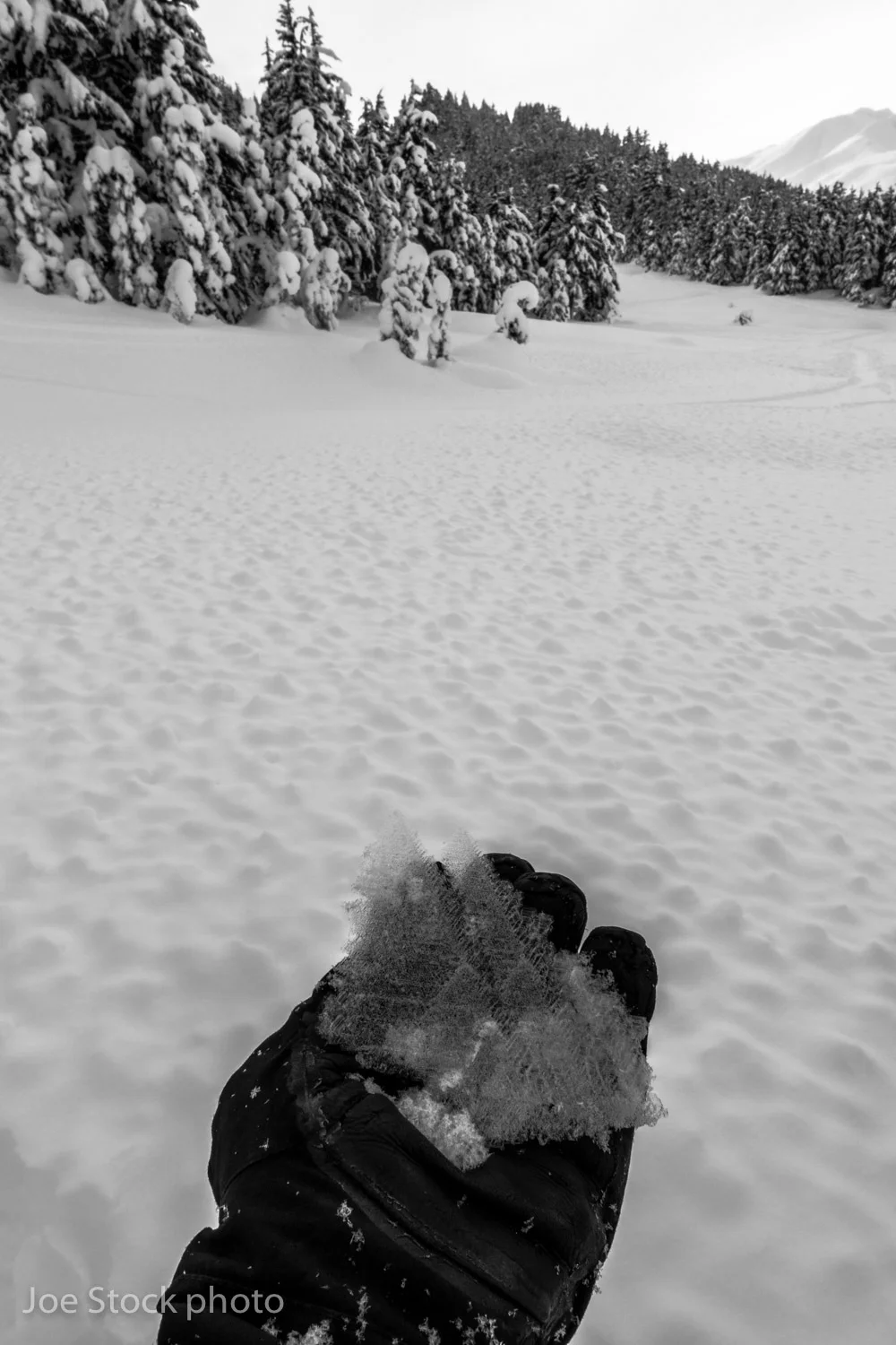 An inch of snow hides a meadow of massive surface hoar in the Tincan Meadows. This was during 10 days of avalanche training with the 212th Pararescue Squadron in Anchorage.