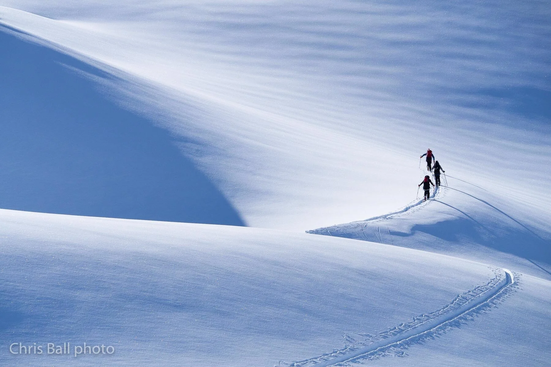 Skin Track Setting Joe Stock