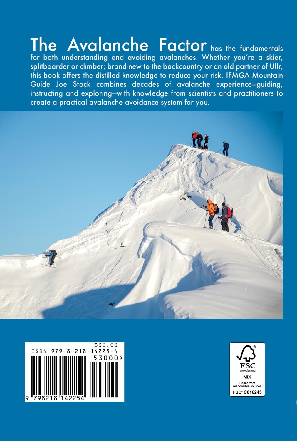 Avalanche Factor Back Cover.jpg