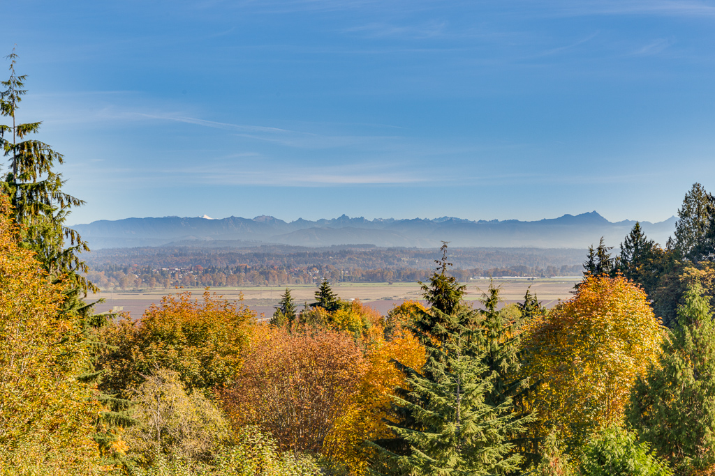 4119 105th Pl SE Everett Wa 98208-MLS-10.jpg