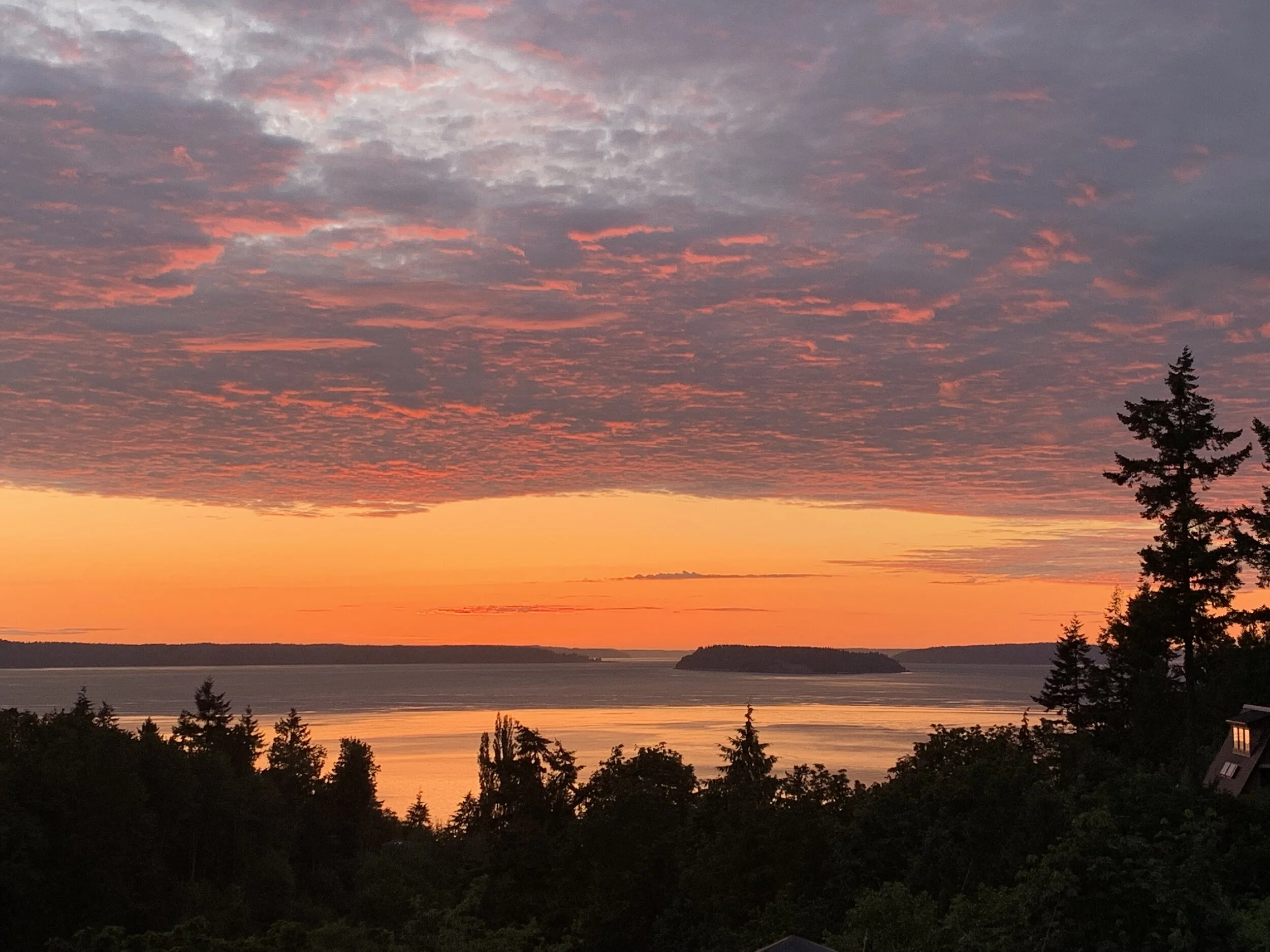 4th Quarter Live In 425 Newsletter Now Out!