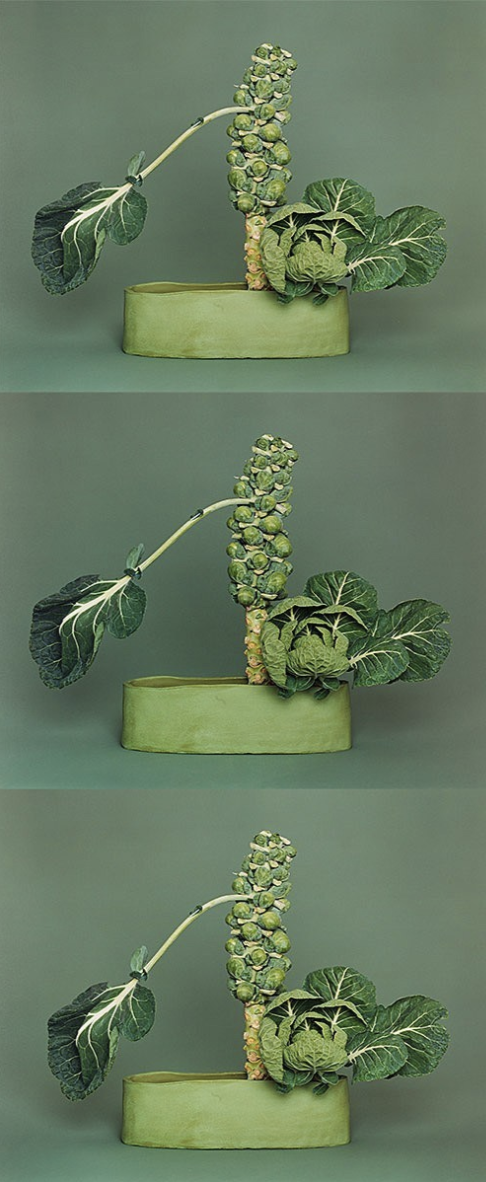 NO-no YES-yes Ikebana 
