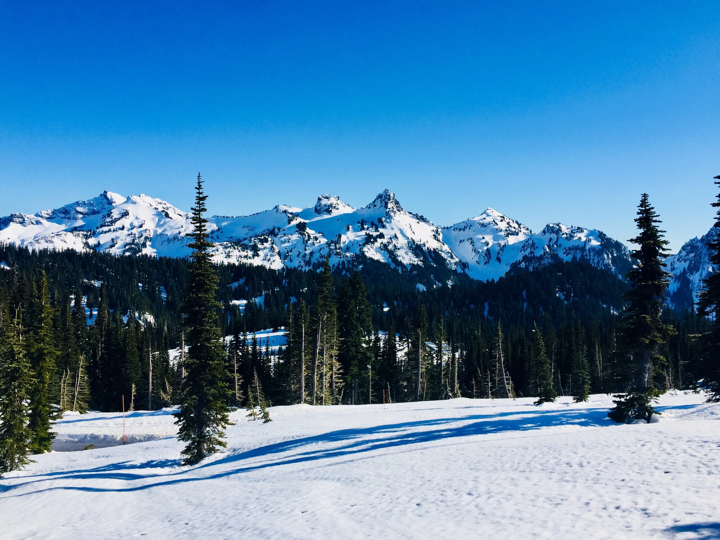 MT. RAINIER NATIONAL PARK - CASCADE MOUNTAINS - WASHINGTON
