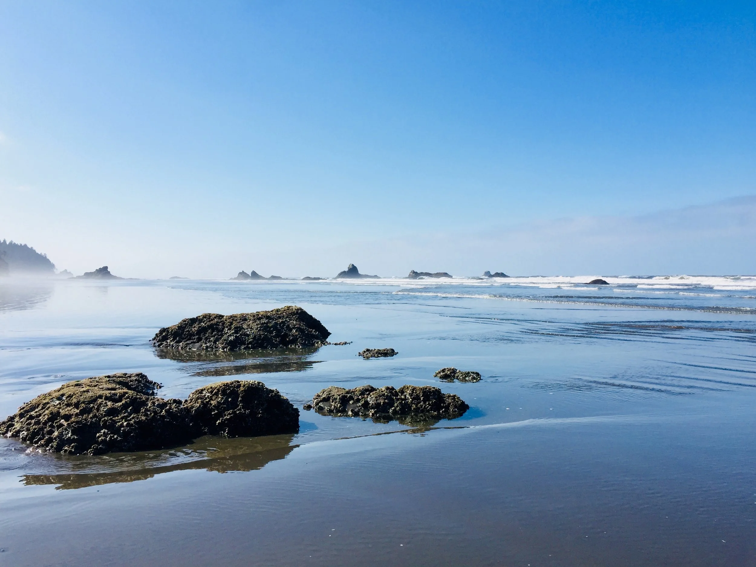 RUBY BEACH - OLYMPIC NATIONAL PARK - WASHINGTON 