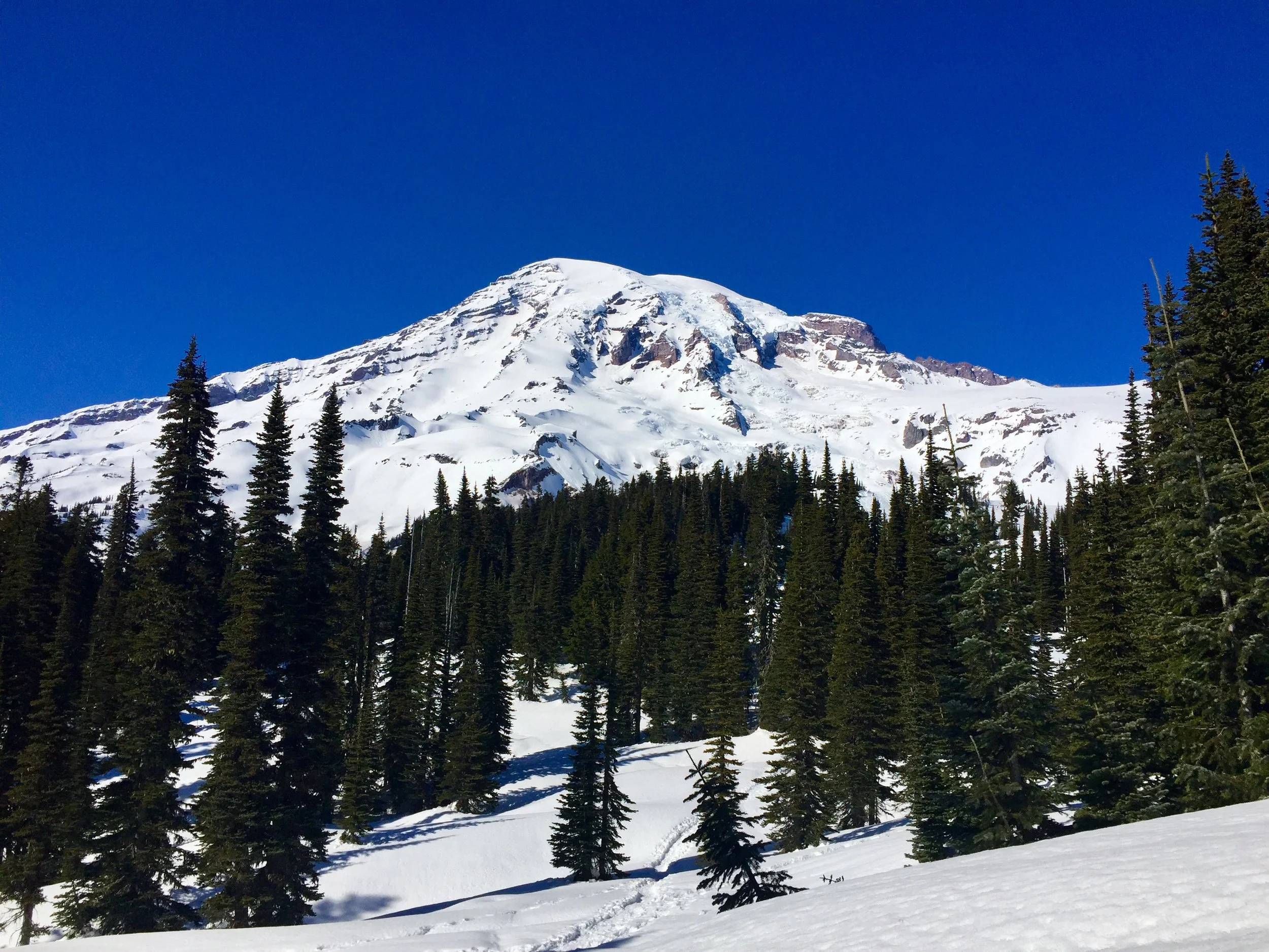 MT. RAINIER NATIONAL PARK - WASHINGTON