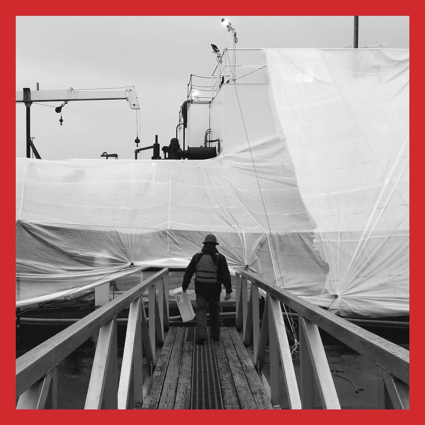 PNW WEATHER? NO PROBLEM!
#throwback to tarping an entire barge and painting everything in the pouring rain.
#marinepainting #solutions #seattlelocal