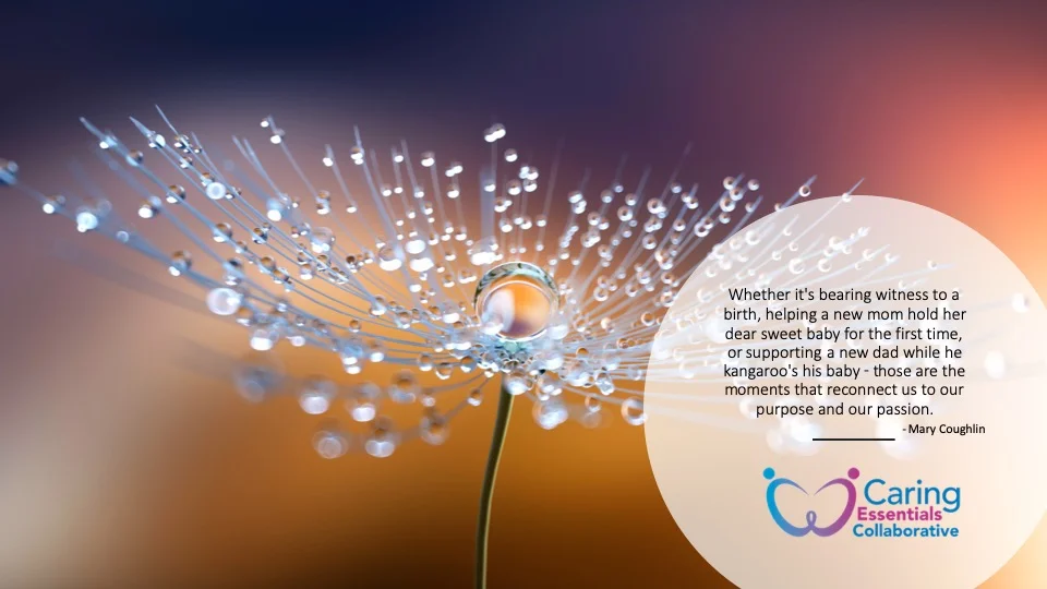 Blog Quote 9-2-2019.jpg